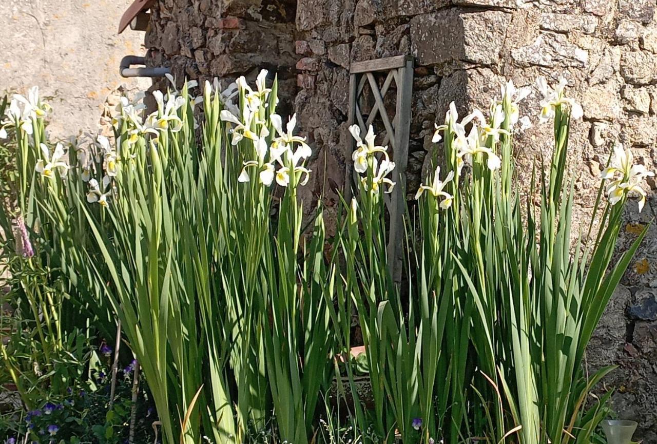 Charmant Gite A La Campagne, Proche Du Puy Du Fou, Les Charmes De Castellariis Pouzauges Buitenkant foto